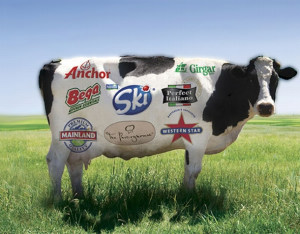 Fonterra announces profit plunge and cuts milk price payout